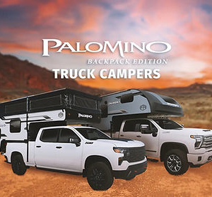 Palomino